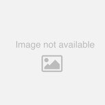 Dechra Specific Adult CID-LF Digestive Support Low Fat Dry Dog Food - 7kg